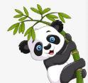 WWW,324se·COM网站APPAPP应用