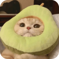 九一视频下载APP应用